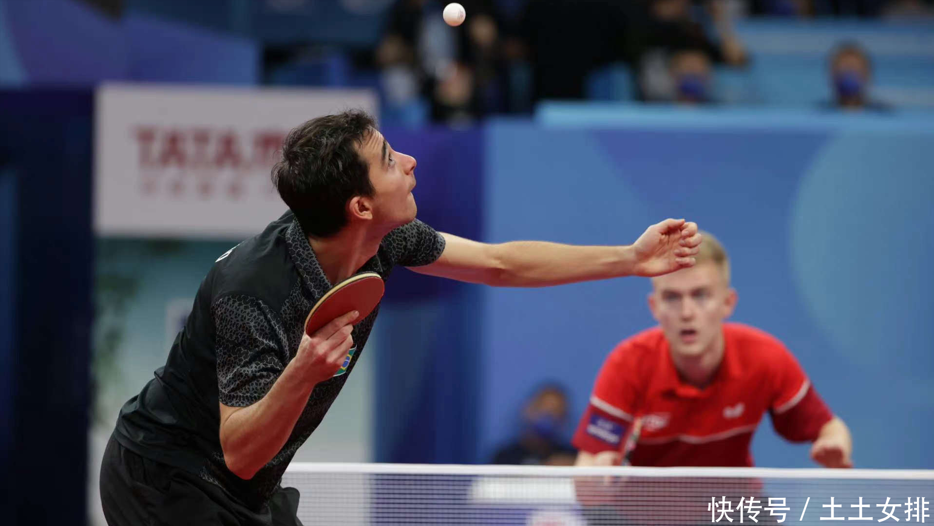 现了极高的 现了极高的